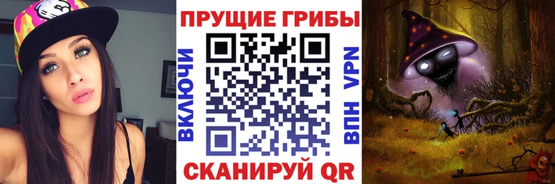 Купить Владикавказ Псилоцибиновые грибы мицелий